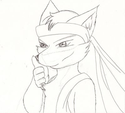 Kit by IrukaAoi
Here we have a nice rendition of Kit, our resident speedy fox.  Quite a stylish anime look, I could easily see it being used in an opening animation for a show or such.
