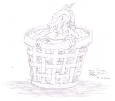 Laundry Dragon
A younger Alissa making herself comfy in a basket of freshly dried laundry.  She loves the warmth, and to this day loves to have her bedding freshly run through the dryer each night.  Alissa (c) R. Mythril
