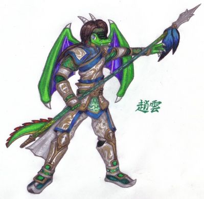 Zhao Yun
Terry as Zhao Yun from Dynasty Warriors.  Zhao Yun in the games often refers to himself as Little Dragon, so using my son seemed the obvious choice.  Terry (c) R. Mythril, Dynasty Warriors (c) Koei
